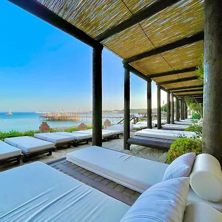 Laur Experience & Elegance