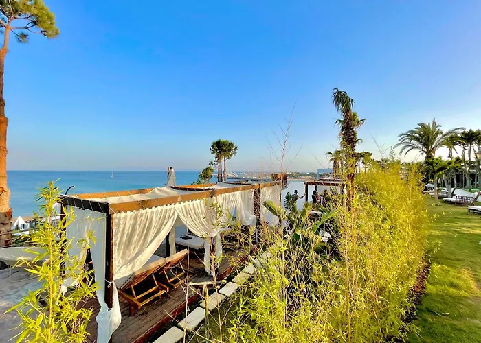 Laur Experience & Elegance 5*