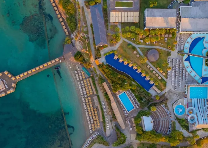 Laur Experience & Elegance