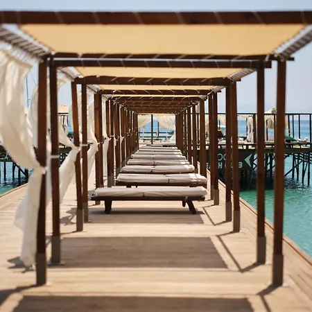 Laur Experience & Elegance ديديم