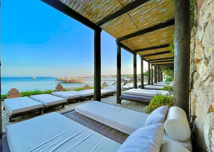 Laur Experience & Elegance